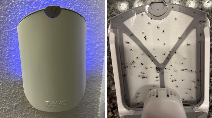 Bug zapper from Amazon, showing the front view and an open back with trapped insects, featured by 40K Review Club.