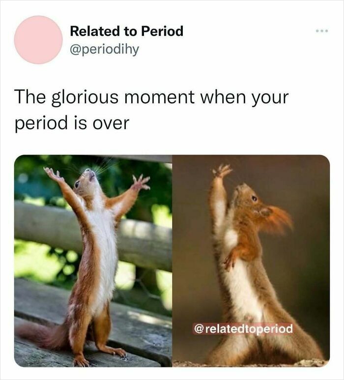 Squirrels raising arms triumphantly, capturing the relief and humor of periods ending.
