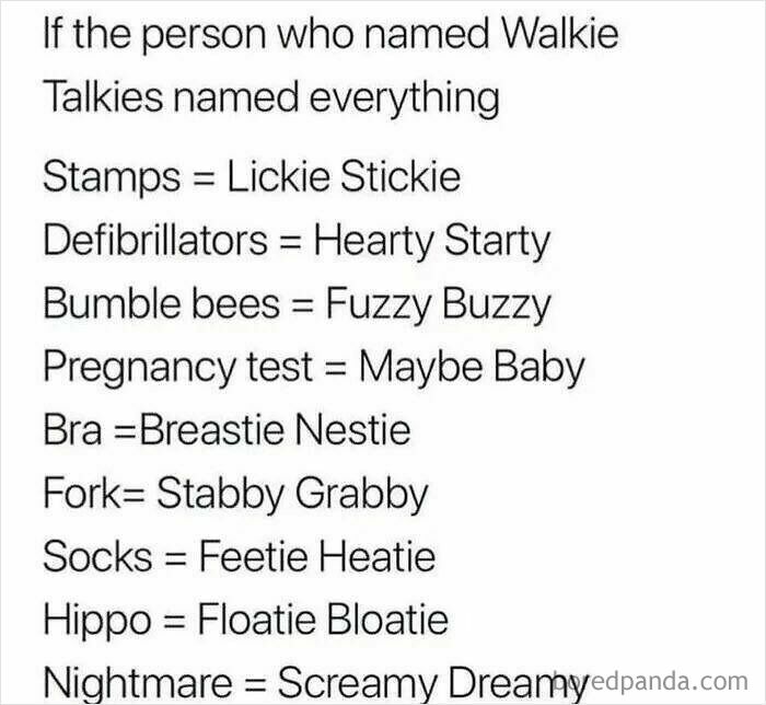 List of funny and relatable wordplay memes inspired by "walkie talkie" names.