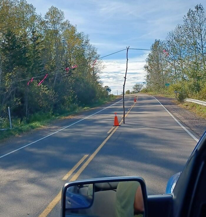 Road repair fail with branch and cone on deserted street.
