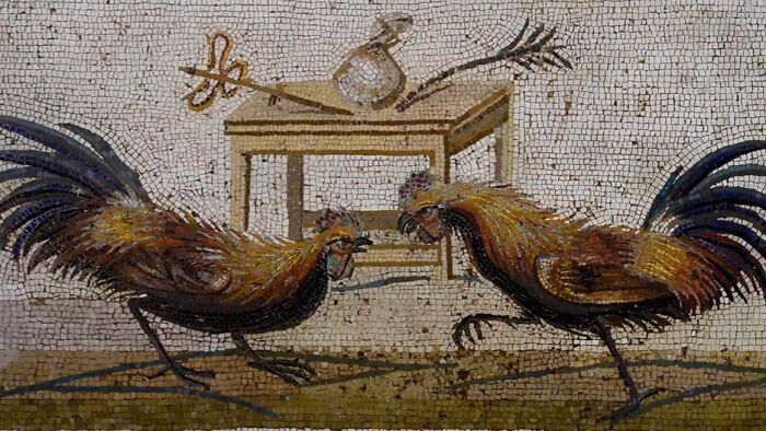 Mosaic depicting two roosters fighting, with a table in the background; a glimpse into Roman Empire pastimes.