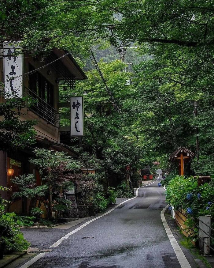 Scenic narrow road lined with lush greenery and traditional Japanese architecture.