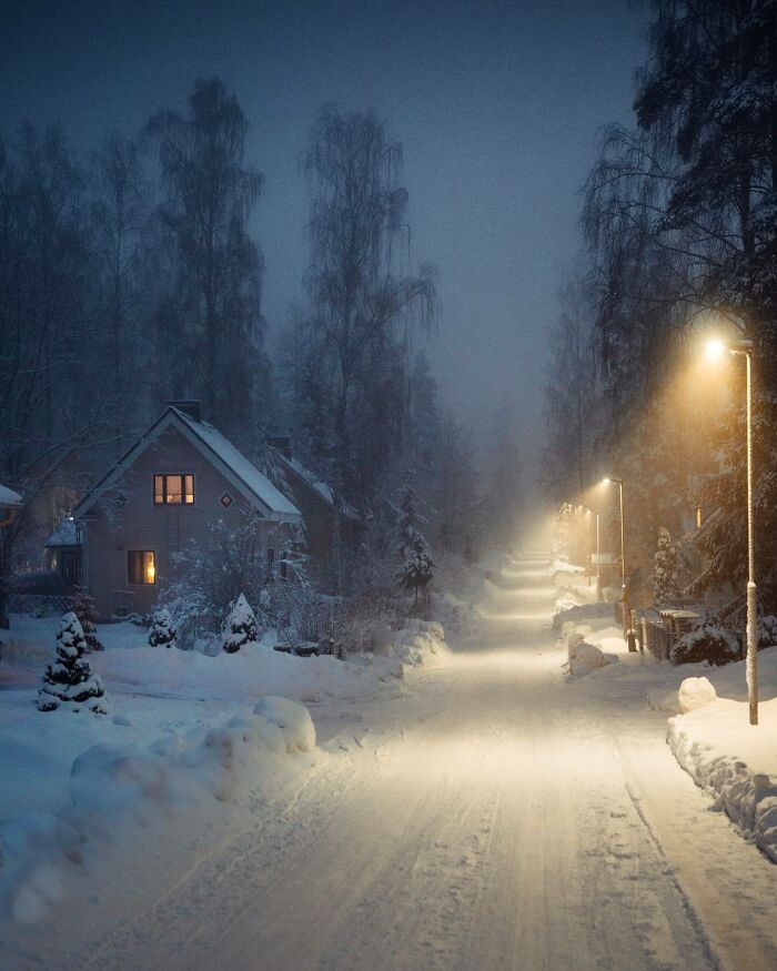 Snowy street illuminated at night, showcasing a beautiful place with frosted trees and warm house lights.