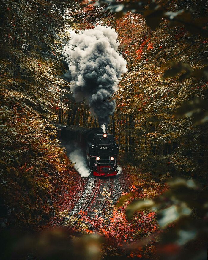 Steam train passing through a vibrant autumn forest, showcasing a beautiful place discovered.