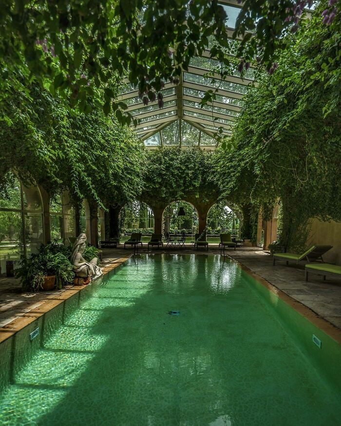 Indoor pool surrounded by lush greenery and a glass ceiling, creating a serene and beautiful place.