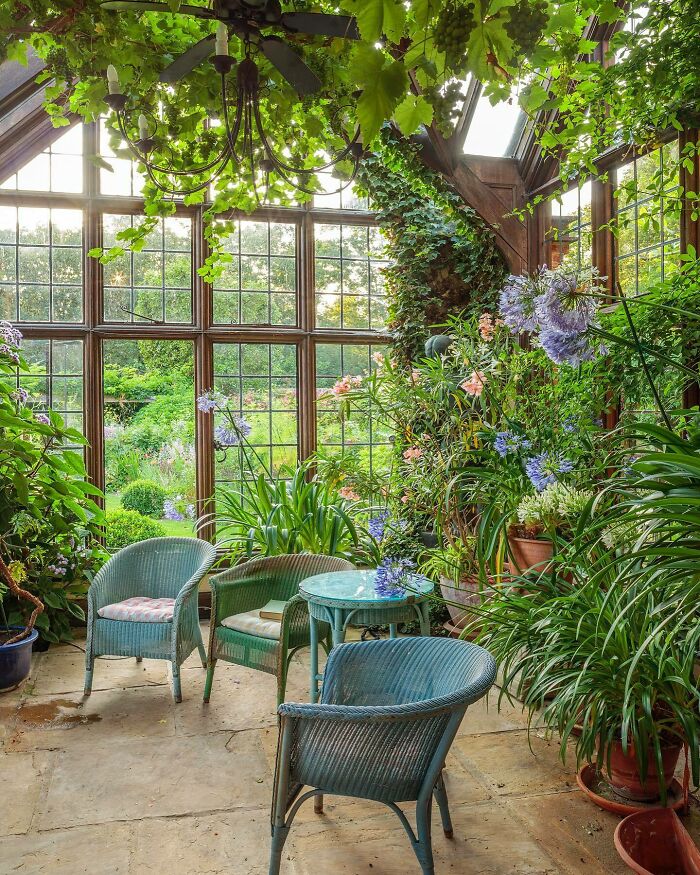 Peaceful indoor garden with lush plants, wicker chairs, and a glass table in a sunlit room.
