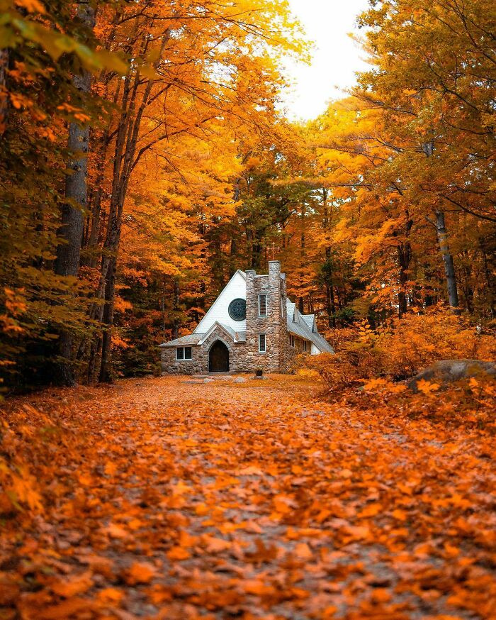 Stone house surrounded by vibrant autumn leaves in a beautiful forest setting.