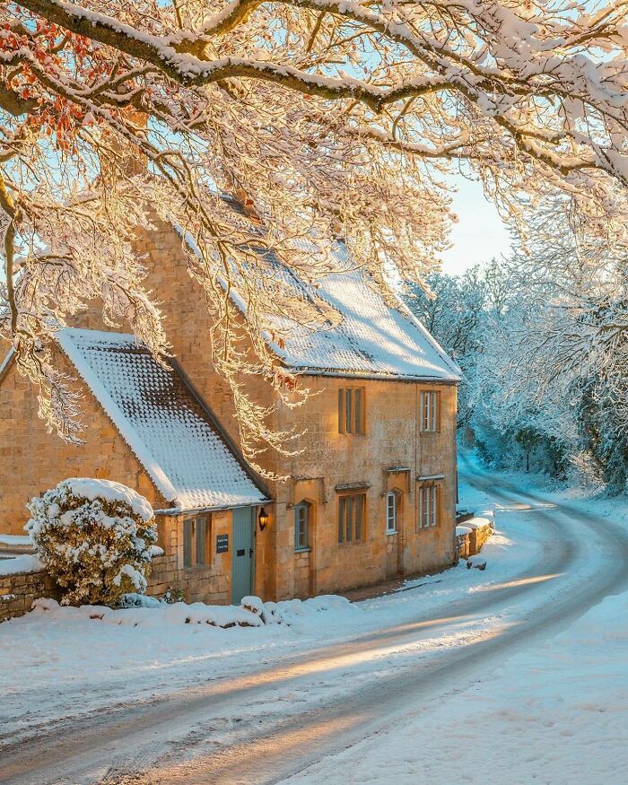 Snow-covered cottage and road in a beautiful winter landscape, surrounded by frosted trees.