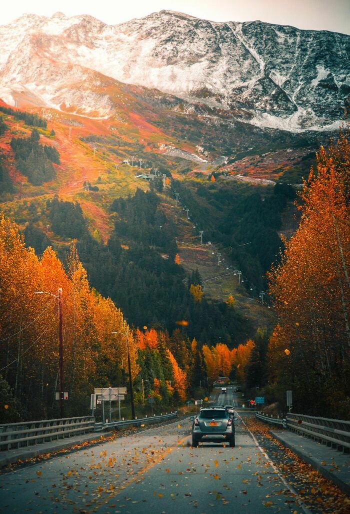 Car driving through autumn foliage with mountains in the background, showcasing a beautiful place.