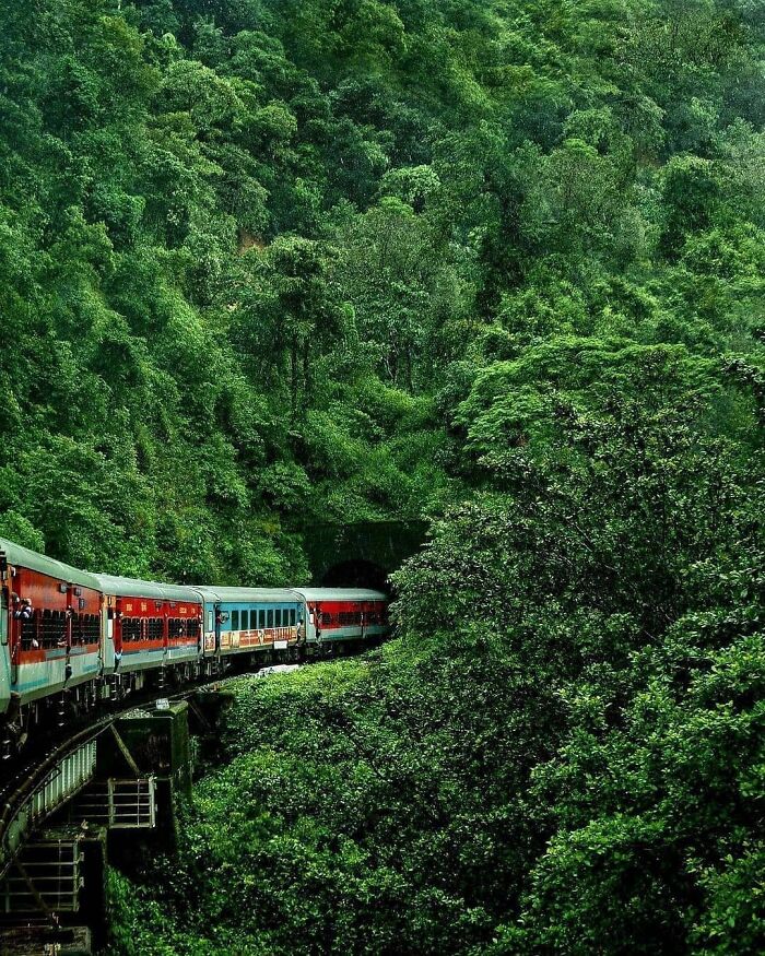 Train passing through lush green forest, showcasing beautiful places in nature.