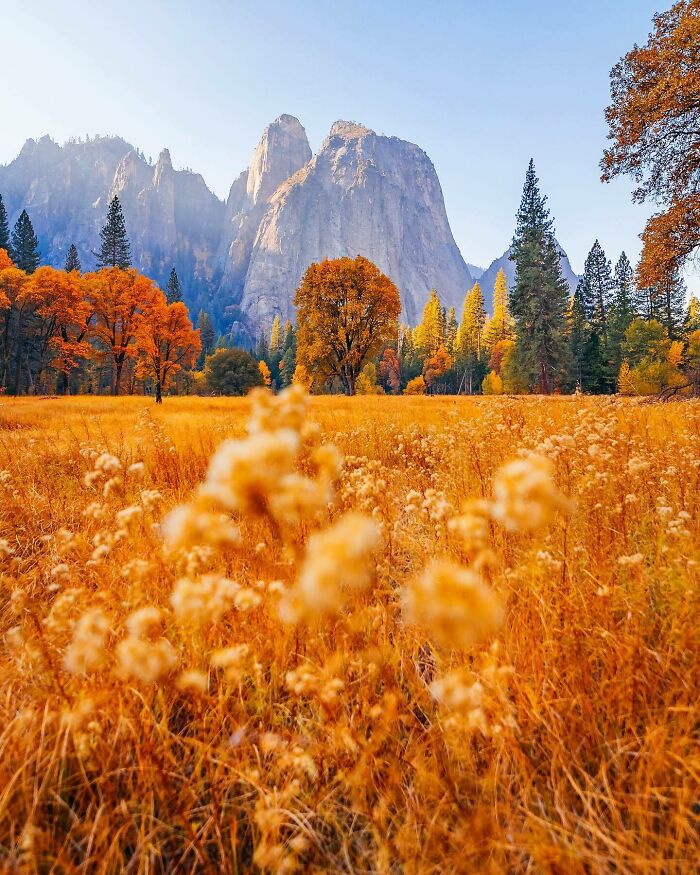 Autumn landscape with golden meadow, vibrant trees, and majestic mountains, showcasing one of the most beautiful places discovered.
