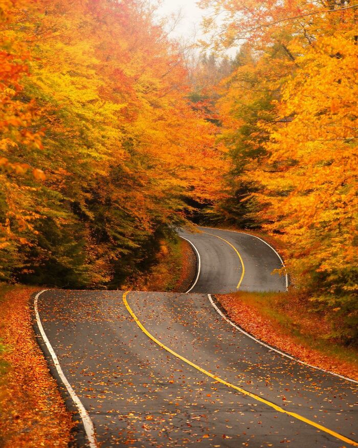 Winding road through vibrant autumn trees, showcasing one of the most beautiful places discovered.