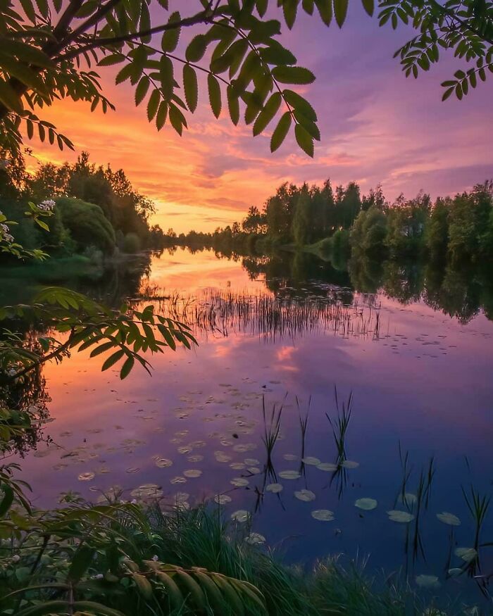 Serene lake at sunset with purple and orange sky, surrounded by trees and foliage.