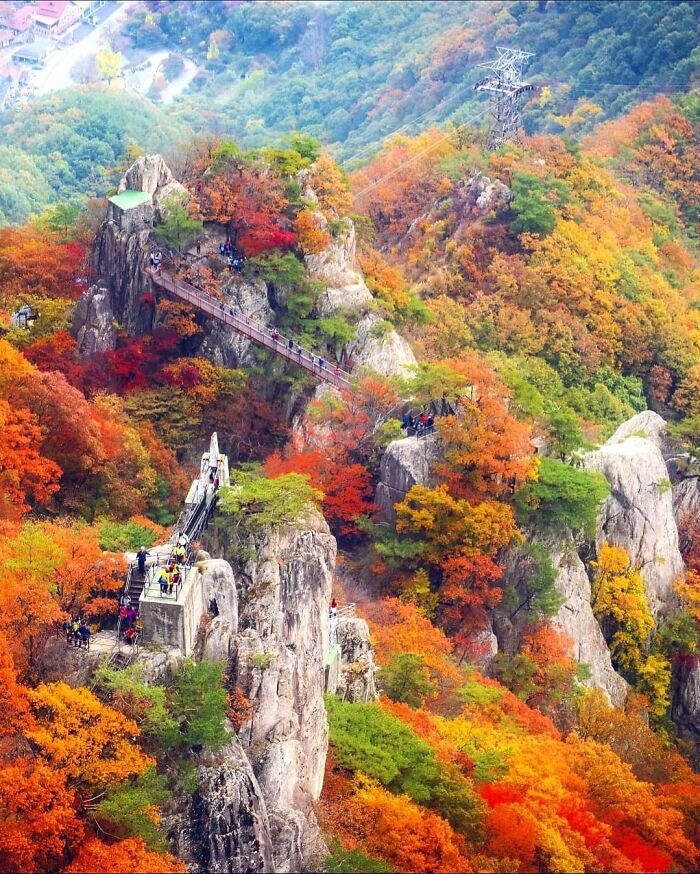 Stunning autumn foliage and rocky landscape with a bridge, showcasing a beautiful place discovered by travelers.