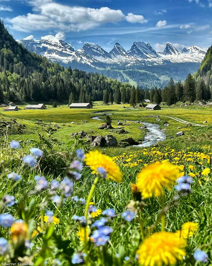 Beautiful landscape with a stream, wildflowers, and snowy mountains, showcasing one of the most beautiful places discovered.