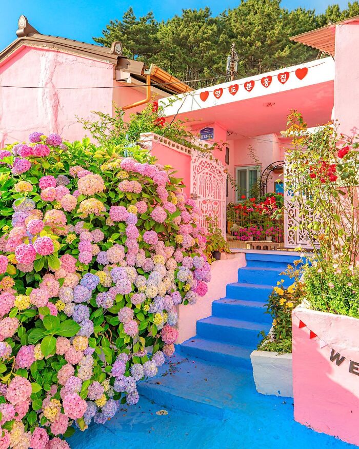 Charming house with pink facade, vibrant hydrangeas, and blue steps in a beautiful place.