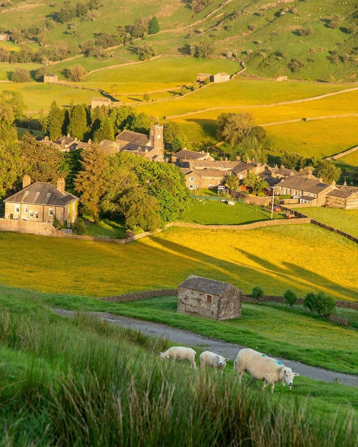 Beautiful countryside landscape with sheep grazing, a quaint village, and rolling hills under a golden sunset.