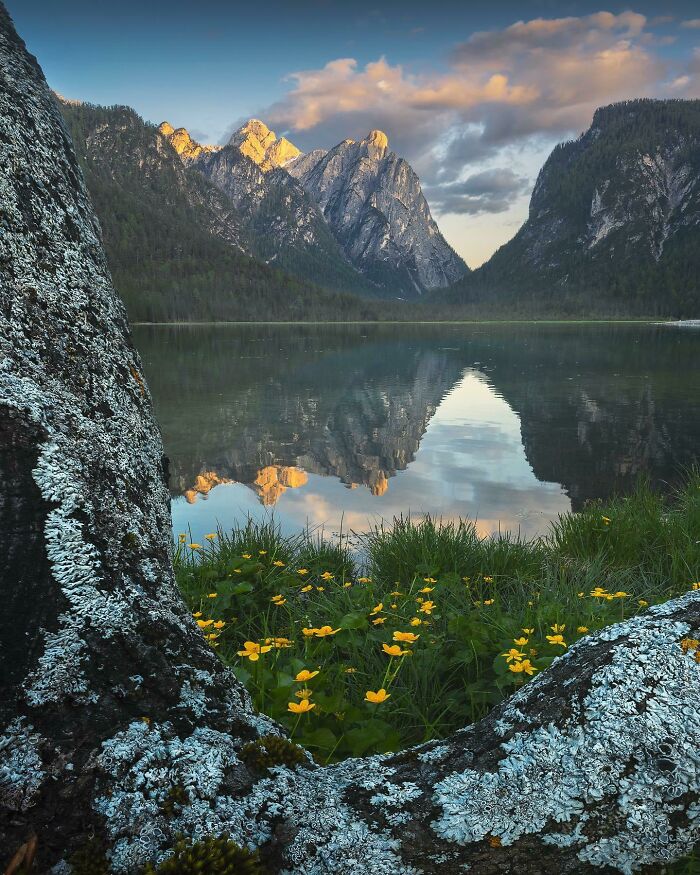 Mountain landscape with a lake reflection, framed by rocks and wildflowers, showcasing one of the most beautiful places.
