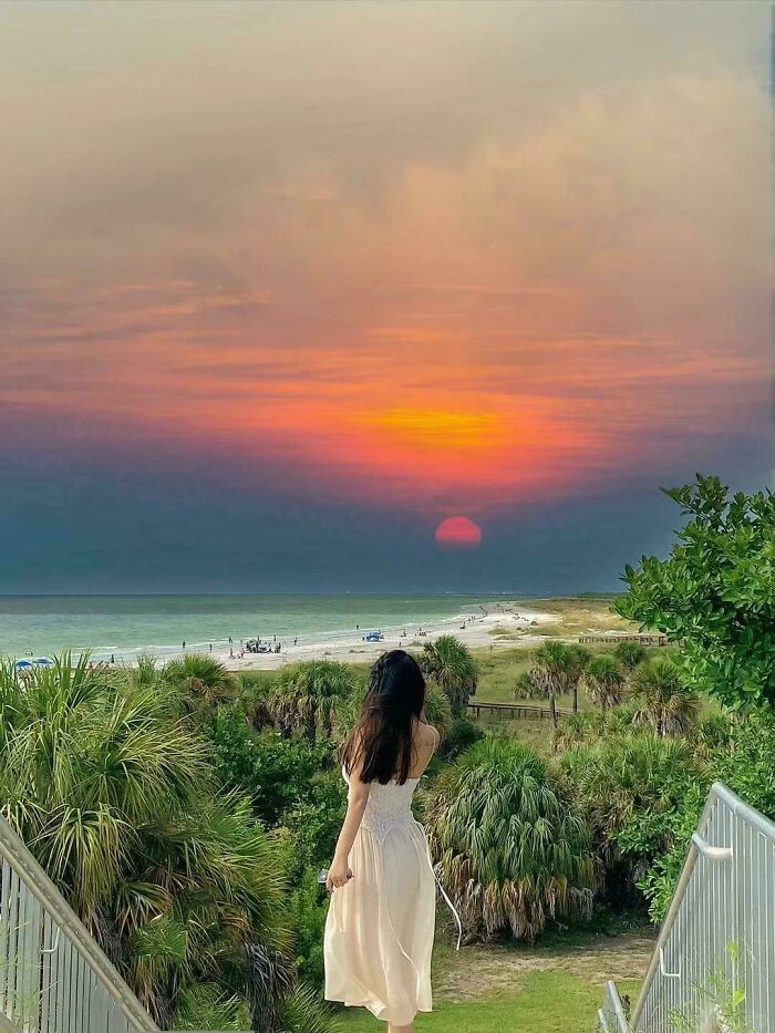 Woman in white dress overlooking a stunning sunset on a beach, surrounded by lush greenery and nature's beauty.