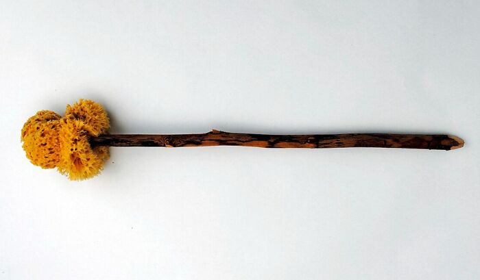 Ancient Roman cleaning tool resembling a sponge on a stick, used for hygiene.