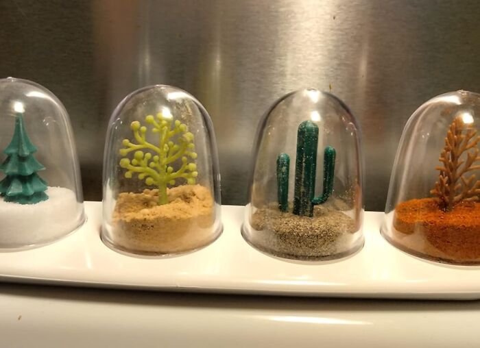 Unique kitchen finds: spice shakers shaped like trees and cacti, displayed in clear domes on a white tray.