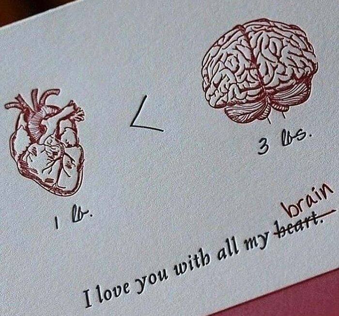 Heart and brain comparison with edited text, illustrating a humorous take on medical school experiences.