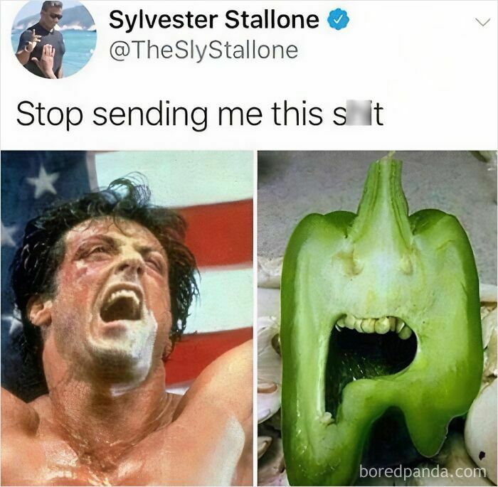 Funny meme comparing a yelling man to a surprised green pepper with "Stop sending me this" caption. Sarcasm humor.