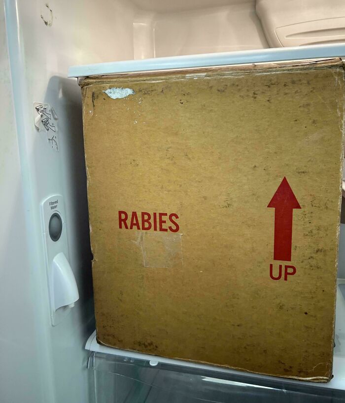 A large box labeled "Rabies" and "Up" found inside a refrigerator, showcasing a creepy hidden discovery in a home.