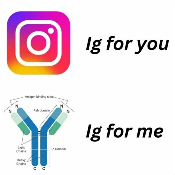 Instagram and immunoglobulin meme humorously depicting medical school perspectives.