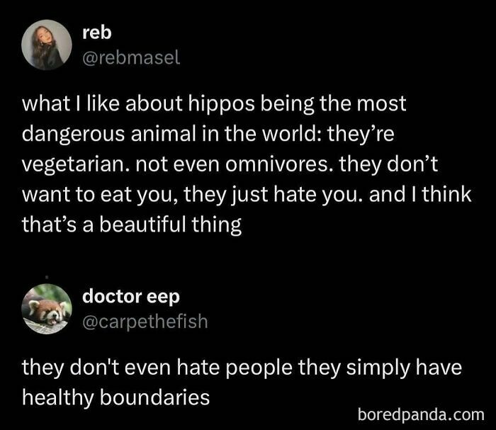 Millennial humor meme about hippos being dangerous yet vegetarian, with witty commentary on their nature.