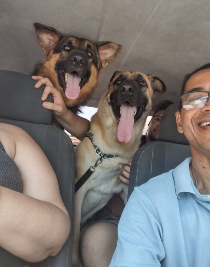 Man with glasses takes a selfie in his pet taxi alongside two happy dogs inside the vehicle.