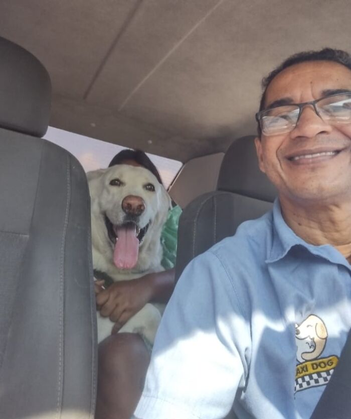 Man in glasses smiling with a dog in the backseat of his pet taxi, capturing a joyful moment during a ride.