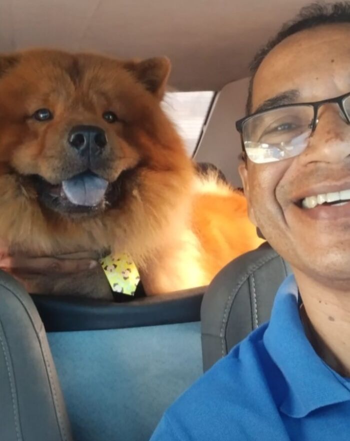 Man taking a selfie with a fluffy dog in a pet taxi, both smiling.