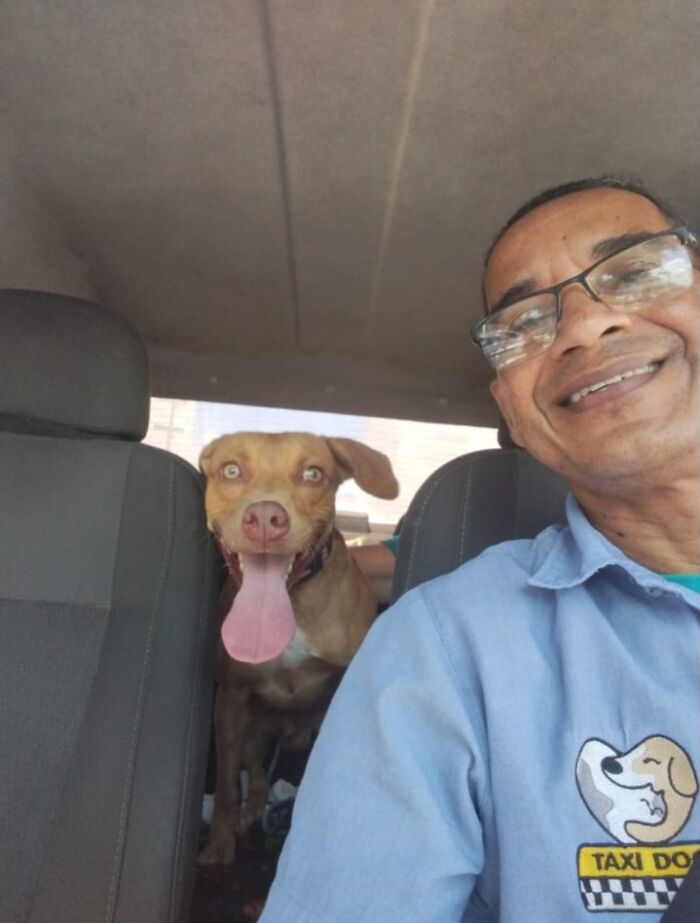 Man smiling in a "Pet Taxi" with a happy dog beside him.