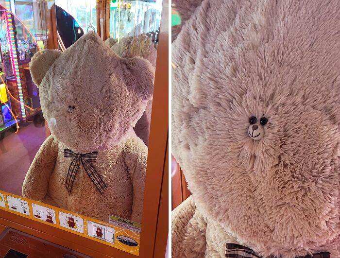 Giant teddy bear in claw machine with tiny face appearing fake yet real.