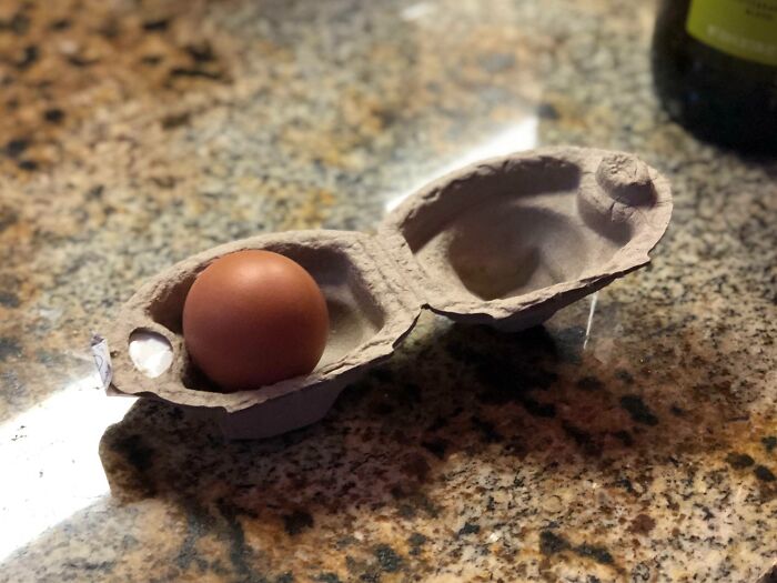 Realistic egg in an unusual carton on a kitchen countertop, resembling a pebble nest.