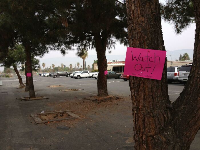 Pink signs on tree trunks in parking lot show coworkers' humor, reading "Watch Out!"