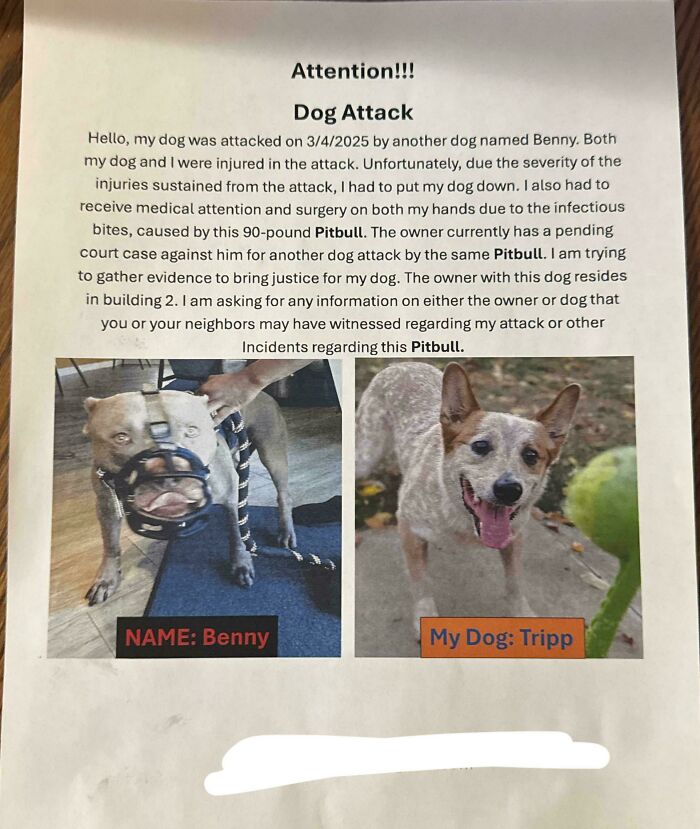Flyer about a dog attack incident involving a Pitbull named Benny and another dog named Tripp, with their photos.