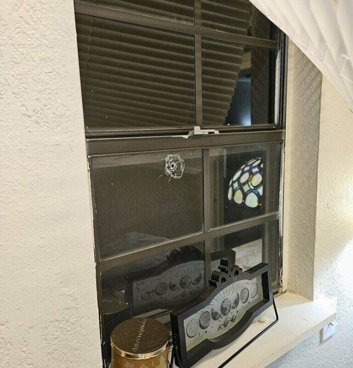 Damaged window with bullet hole, reflecting stained glass lamp, symbolizing frustration shared online.