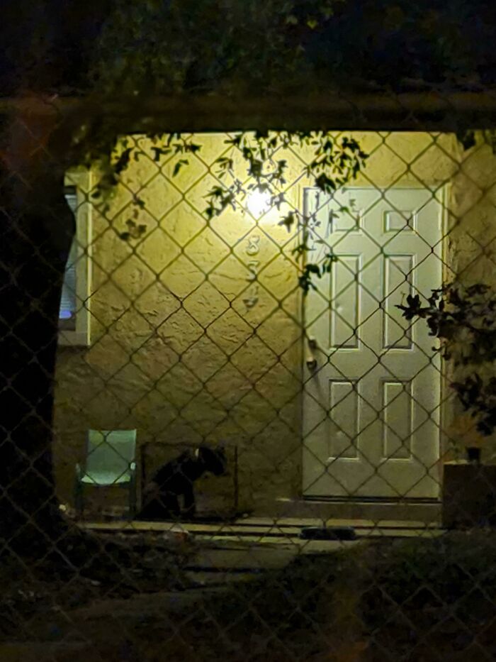 House entrance at night, illuminated by a porch light, with a dog and chair visible behind a chain-link fence, showcasing online frustration.