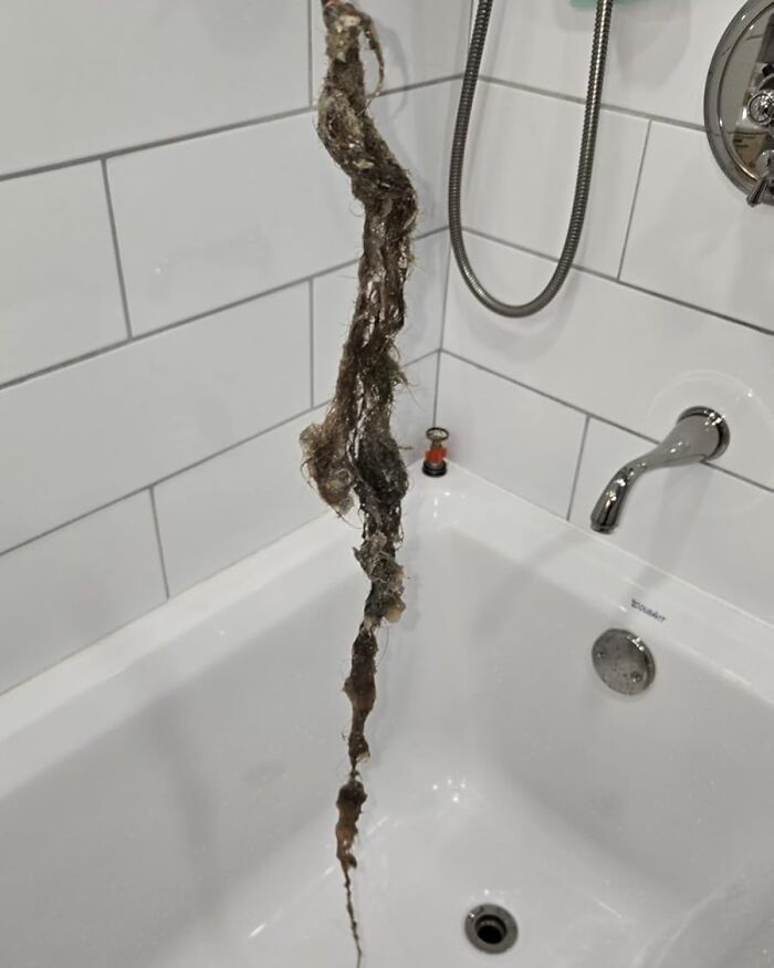 Clogged bathtub drain with a long hair clog being removed, essential for solo living maintenance.