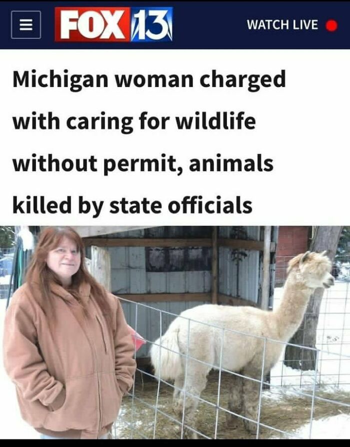 Woman in winter coat beside an alpaca, with text overlay about wildlife care charges causing online outrage.