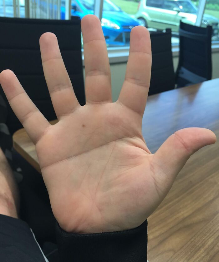 Hand raised in a conference room, looking real but appearing unusual upon first glance.