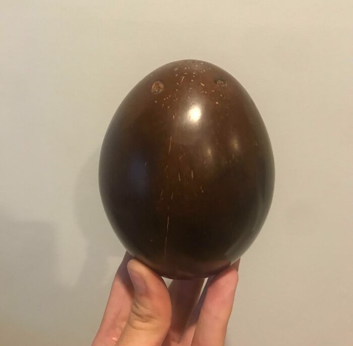 Hand holding a polished wooden egg that appears fake, but is real, illustrating visual illusions.