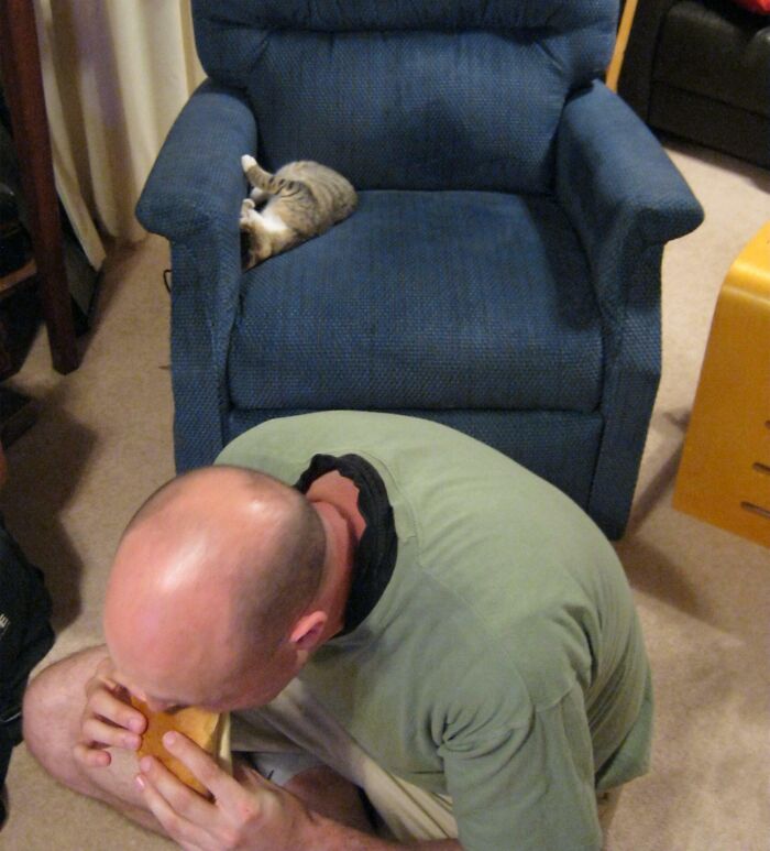 Bald man biting a brown object on the floor with a cat sleeping on a blue chair, exemplifying hilarious men.