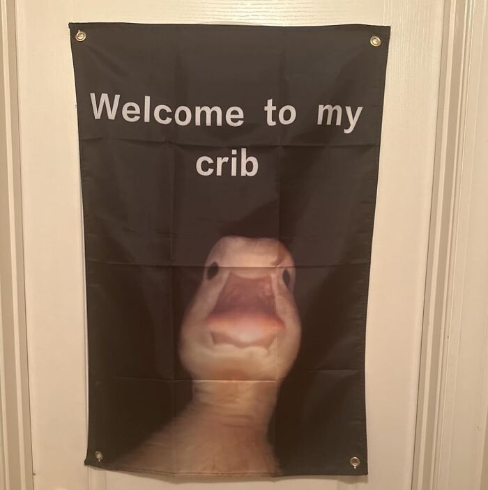 Banner with "Welcome to my crib" and a duck image, ideal for the weird friend’s room decor.