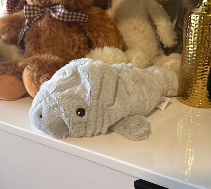 Gray plush toy resembling a sea creature on a shelf, perfect for the "weird friend" collection.