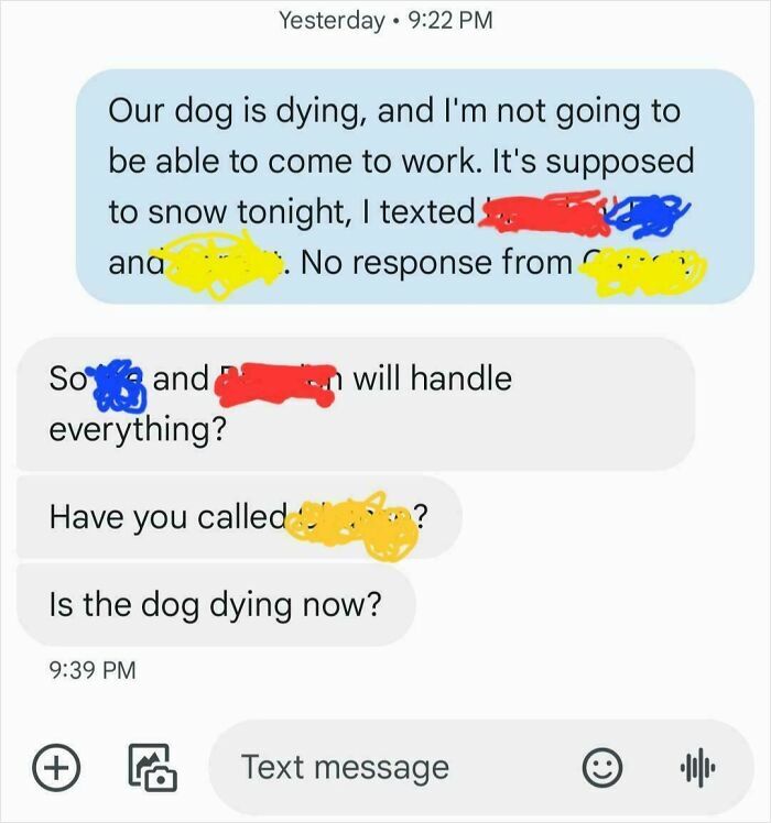 Text exchange showing an insensitive boss questioning an employee about their dying dog and absence from work.