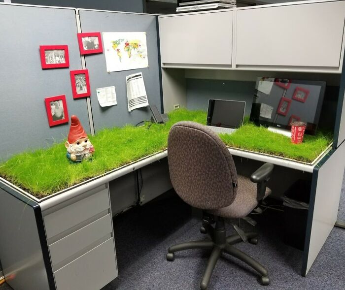 Humorous coworker's cubicle with grass-covered desk, garden gnome, and fun decor.