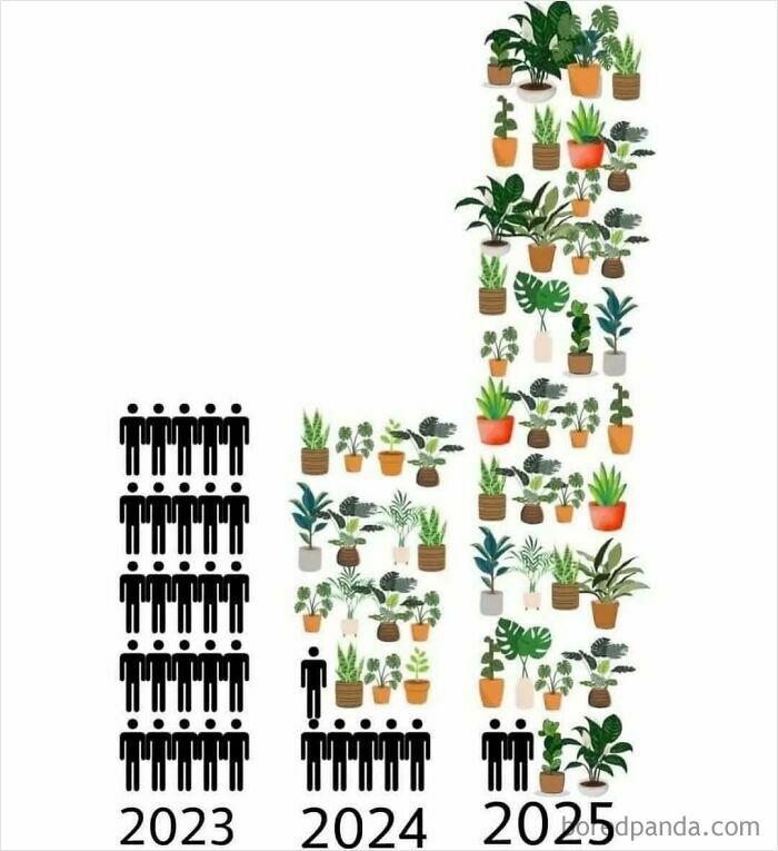 Chart showing increase of plants among owners from 2023 to 2025, depicting growth in plant ownership.